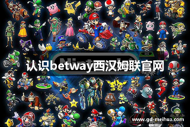 认识betway西汉姆联官网